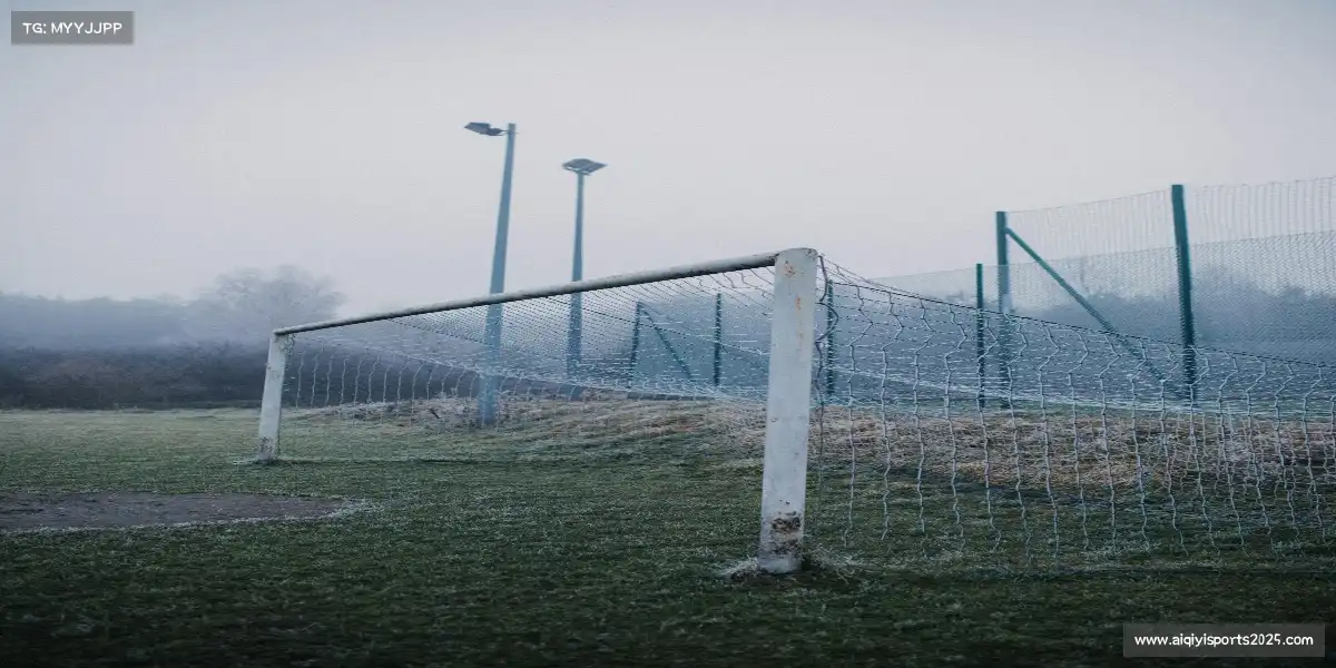 爱奇艺体育直播——👊武术擂台，气吞万里！